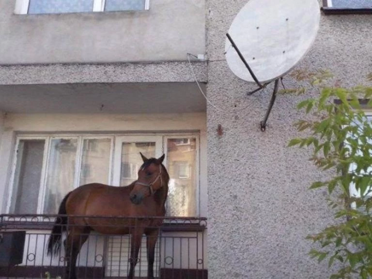 «Θύελλα» στο Twitter με τον «Ξενοφώντα»! Ατελείωτο «γλέντι» για τον… κακό μας τον καιρό!